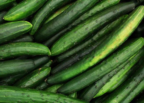 À L’ALOE VERA ET HUILE DE ROMARIN